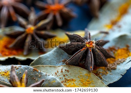 Star anise seeds, bay leaves and colorful spices, closeup