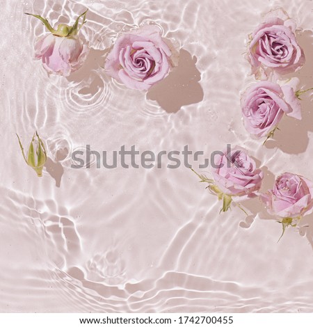 Summer scene with pink rose flowers in water. Sun and shadows. Minimal nature background. Royalty-Free Stock Photo #1742700455