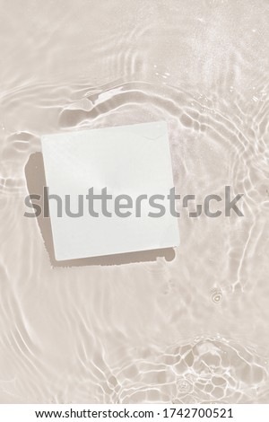 Summer scene with paper card note in water. Sun and shadows. Minimal nature background with creative copy space.