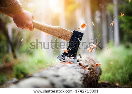 Lumberjack in checkered shirt chops tree in deep forest with sharp ax, Detail of axe, wood chips fly around. Royalty-Free Stock Photo #1742713001