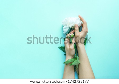 Beautiful female tender hands hold flowers on a bright sky blue background. The concept of hand care and respect for nature.