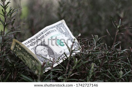 Dollar currency concept, business and finance abstract photo