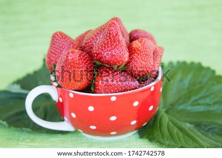 Strawberries  - Red cup with dots full of fresh strawberries