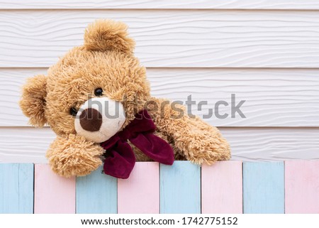 Brown cute teddy bear sneaked behind the colorful wooden door.