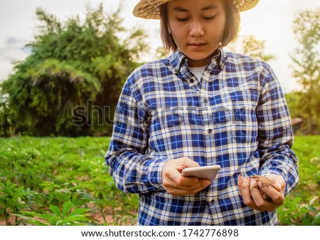 Farmers use phones to check soil moisture values.
