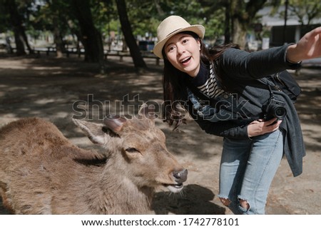 happy asian girl is taking selfie with a deer in nara park. female sightseer bending over a cute animal is looking at camera. 