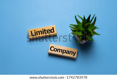 Limited company words concept on wooden cubes Royalty-Free Stock Photo #1742783978