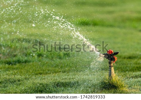 Irrigation System Watering the green grass, blurred background