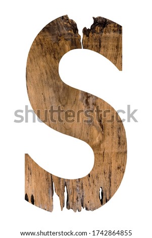 Alphabet letter wooden font on white background. English flat wood character S.