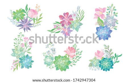 Floral Arrangements with Succulent Echeveria and Branches Vector Set