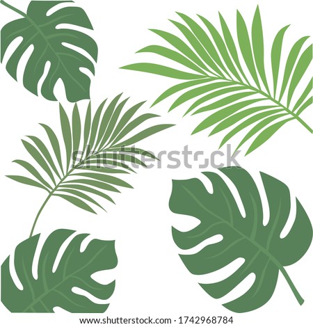 image of green leaves of tropical plants.
stock isolated illustration on white background for printing on postcards, websites, shop advertising in cartoon style