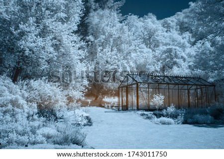 Landscape photographed with infrared filter 