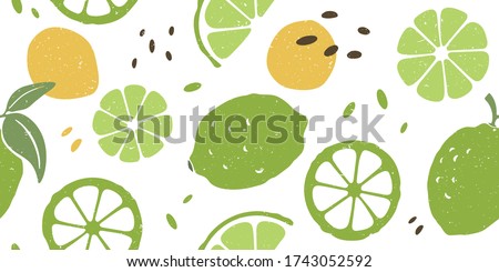 Cute lime seamless pattern. Ripe lime and lime lobules on white background. Vector shabby hand drawn illustration Royalty-Free Stock Photo #1743052592
