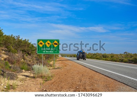 road sign "Watch out for kangaroos, ostriches and echidnas" on Australian wilderness                             
