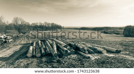 Wooden logs and trees along muddy dirt road in spring rural landscape. Heap of cut wood trunks, meadow and forests in natural view. Artistic panoramic scenery in cyan-brown tone. Pikov, South Bohemia.