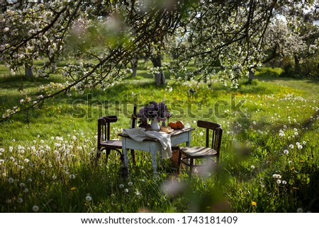 romantic dinner outdoors  in the blooming apple garden