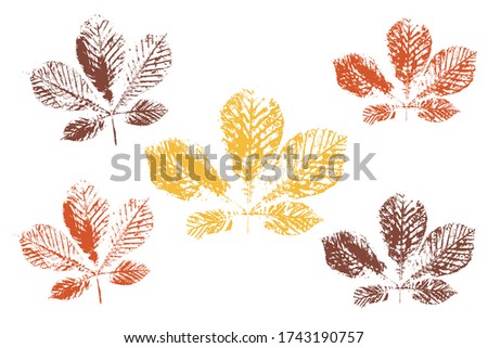 Stamp of asymmetric maple leaf, isolated on white background.  Objects isolated on white. Isolated objects on white background. Vector illustration.