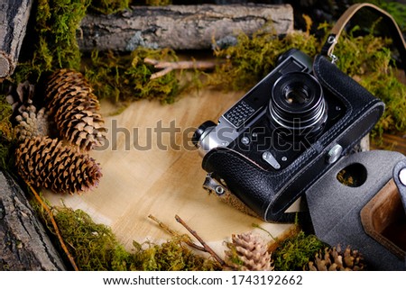 Tourist forest background. an old camera lies on a wooden forest background among branches, cones and moss.