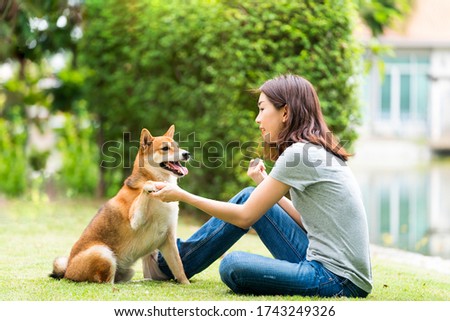 Young female and dog summer concept. The girl plays with the Shiba Inu dog in the backyard. Asian women are teaching and training dogs to greet by shake hands. Royalty-Free Stock Photo #1743249326