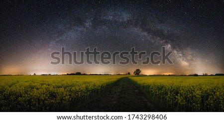 Milky way panorama and colza field