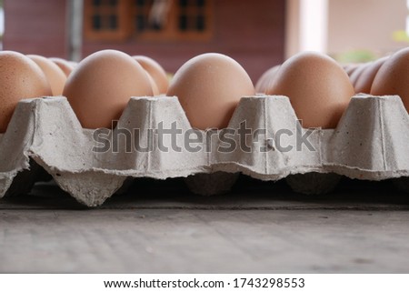 fresh eggs in a basket concept healthy food