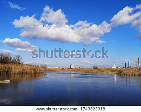 Reeds on the lake - delta landscape