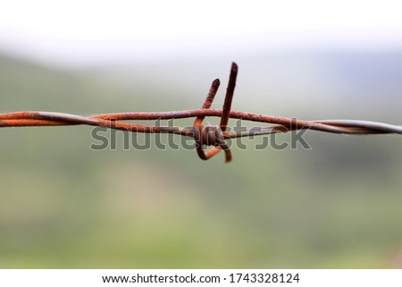 an old rusty barbed wire
