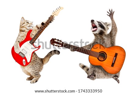 Cat and raccoon with guitars isolated on a white background