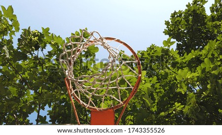 basketball backboard with trees and sky background