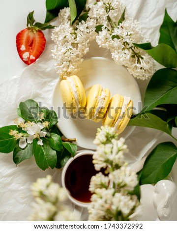 Yellow macaroon cookies among white flowers of lilac and green leaves. Food photography. Advertising and commercial close up design