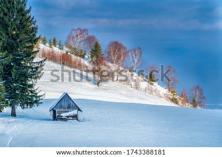Winter Landscape, Old Hut in Snow, Beautiful Picture of a Cottage House in Snow, Transylvania, Sibiu, Romania
