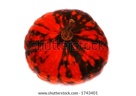 Red pumpkin isolated