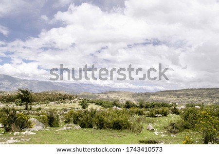 Green meadows in a mountainous hiking area
