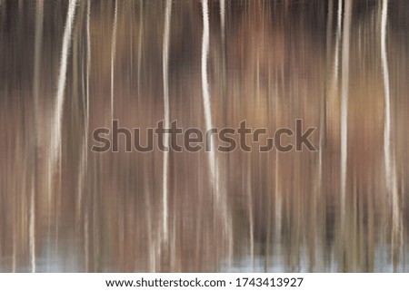 reflections of the trunks of trees on the water surface, abstract background