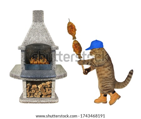 The beige cat in a red cap and boots is cooking the grilled fish on a steel skewer on a stone bbq grill.  White background. Isolated.