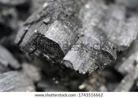 Burnt wood surface texture Extremely close up, macro photography