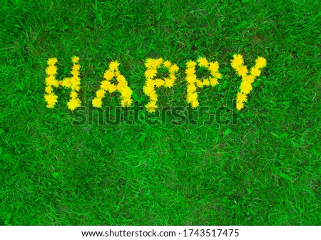 on green grass written by dandelions flowers the word happy