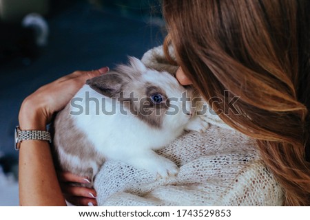 Girl hugs a cute white rabbit at home.a girl with a rabbit, bunny pet.close up hands girl cuddling a lop-eared white rabbit against her on studio 