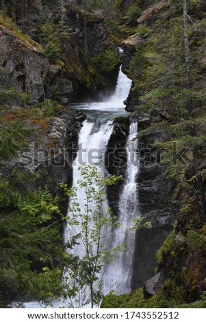Forest waterfall (Hamma Hamma Falls) roars over a cliff in Olympic National Forest