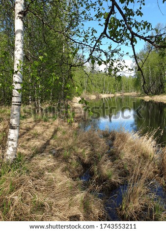 Blue lake in the spring forest on a bright sunny day. Reflection in water. A vivid picture of the nature of the Russian north.