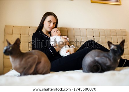 Brunette mother holds and kisses baby toddler with sphynx cat sitting besides