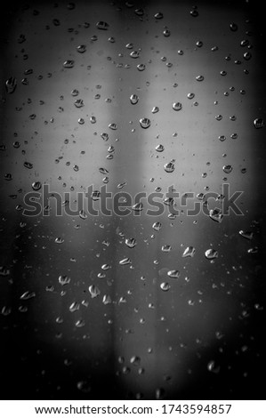 Raindrops in black and white
