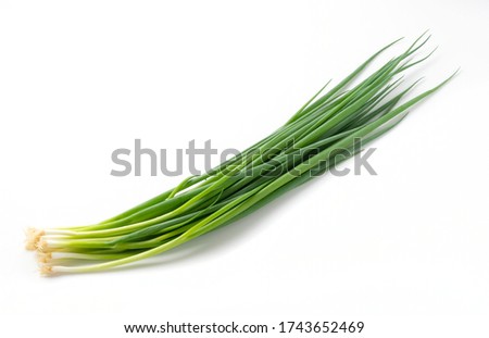 The green onions placed on the white background were photographed from an angle