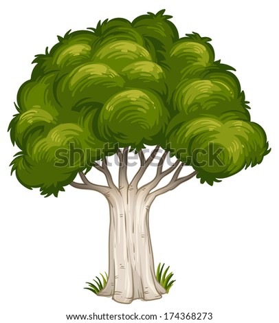 Illustration of a shade of a big tree on a white background