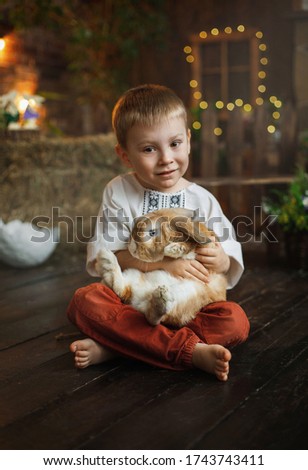 
The boy sits and holds a ginger rabbit in his arms. Against the background of hay and a village house. Photo taken with selective focus and noise effect.