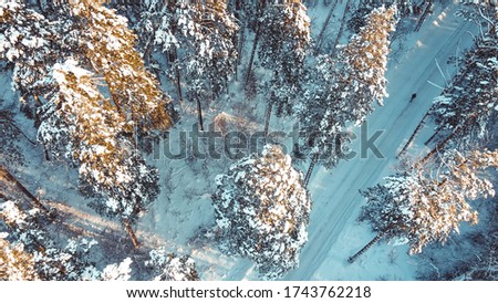 Drone photo of the snowy winter forest