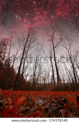 spring night infrared photography. Elements of this image furnished by NASA 