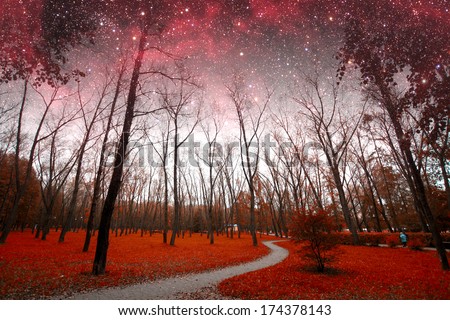 spring night infrared photography. Elements of this image furnished by NASA 