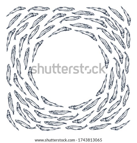 Black and white circular composition of smelt fish swimming around with round empty space in the centre - for typing, cover or package background
