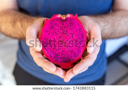Pitahaya dragon fruit in male hands. Multiple red dragon fruit Tropical fruit red pitahaya.